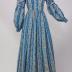 Clothing, Dress - Blue & Beige Cotton Stripe with a Floral Pattern 