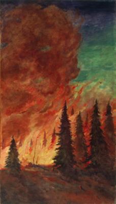 Evolution of Heat: Forest Fire