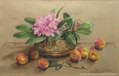 Rhododendron and Peaches