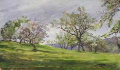 Springtime in the Orchard, Canaan, Connecticut
