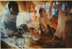 Malnourished. Kalma Camp, Nyala, South Darfur, Sudan, November 2005