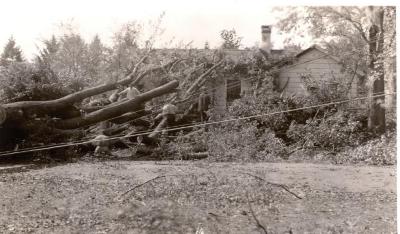 1938 Hurricane Fairfield trees and wires down