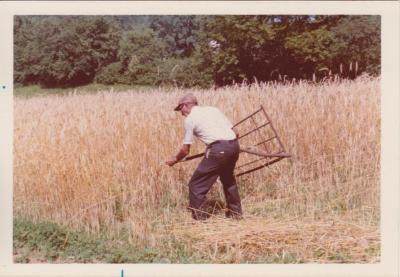 Lynwood Crary mowing scythe demonstration (circa 1974)