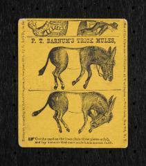 Advertisement: Puzzle featuring "P. T. Barnum's Trick Mules"