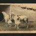 Photograph: Linda and Nellie Jeal, circus equestriennes, with white horses