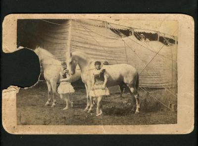Photograph: Linda and Nellie Jeal, circus equestriennes, with white horses
