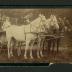 Photograph: Circus chariot driver Minnie Dunn holding reins of four horses, circa 1890