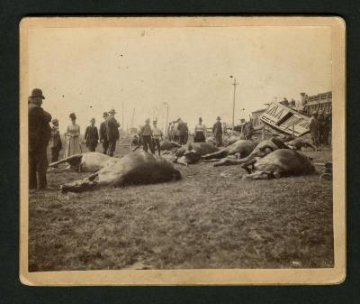 Photograph: Railroad accident, train cars in background