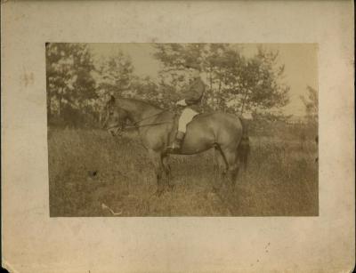 Photograph: Rider posed on bay horse in field