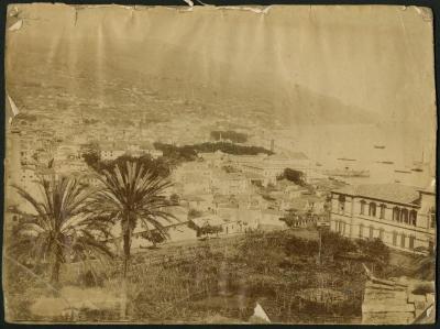 Photograph: Funchal [Madeira] from the west 