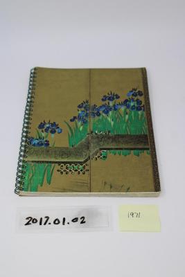 1971 Diary of Elizabeth Branch Mason;Diary