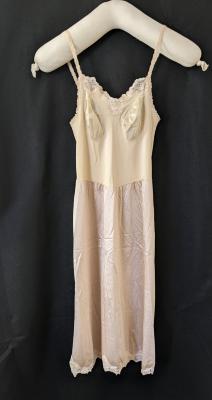 Pale Pink Slip / Nightgown