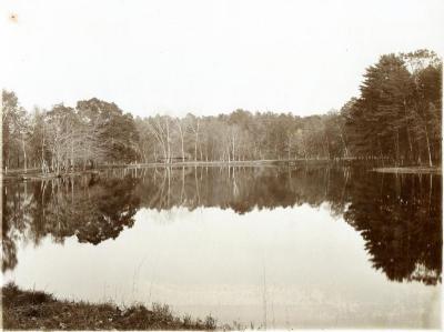 Unidentified pond, part of the Hazard Powder Company