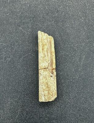 Clay pipe stem