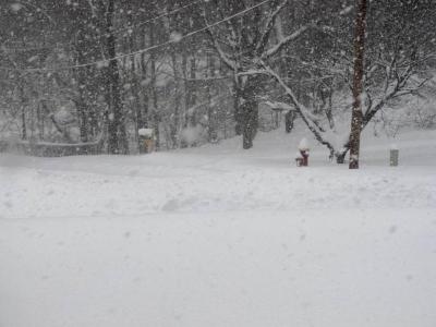 Winter 2011 in Windsor, CT, view #2