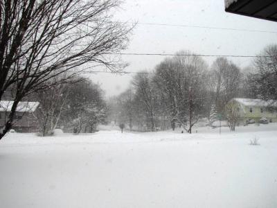 Winter 2011 in Windsor, CT, view #1