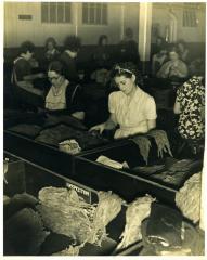 Women Sorting Shade Tobacco, 1940s