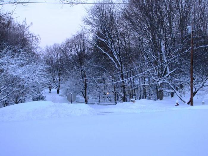 Winter 2011 in Windsor, CT, view #10