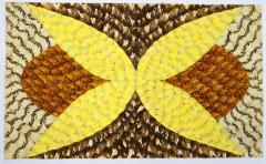 103 Butterfly Wing Collages