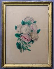 Painting - C.M. Badger litho Aster flowers in frame 