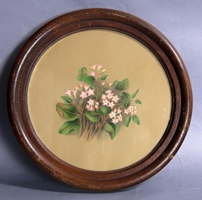 Painting - C.M. Badger watercolor of Mayflowers in round frame