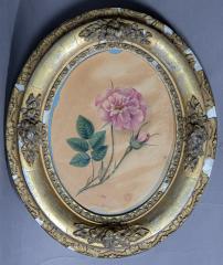 Painting - C.M. Badger litho Rose of Gethsemane flowers in oval frame