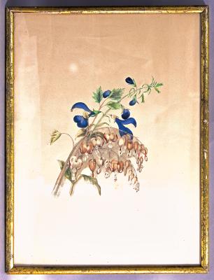 Painting - C.M. Badger litho in frame