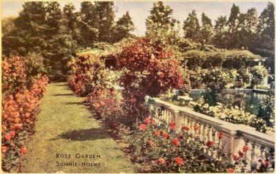 Rose Garden, Sunnie-Holme 