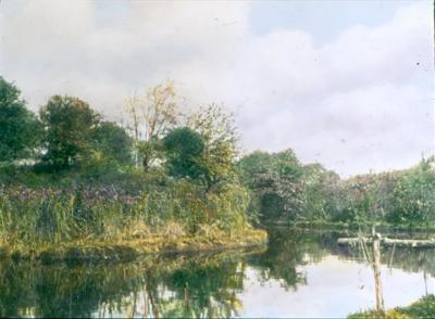 Pond at Birdcraft Sancutary