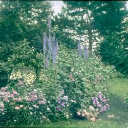 Botsford's Garden