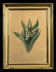 Lithograph, Lily of the Valley, Attributed to Clarissa Munger Badger