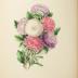 Presentation Copy of Clarissa Munger Badger's "Floral Belles"